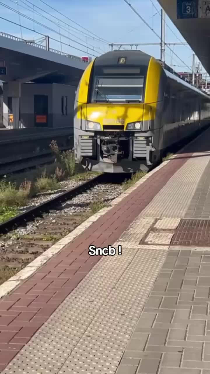@Amyz 🛤