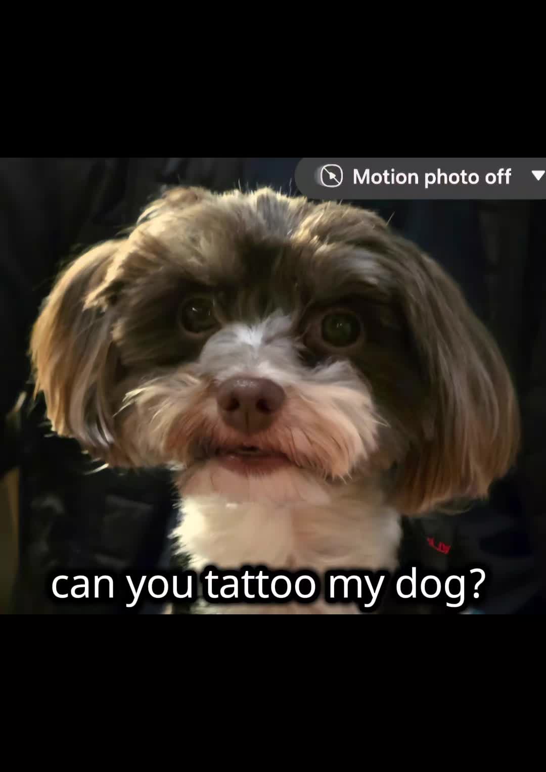 @BetteTattoo