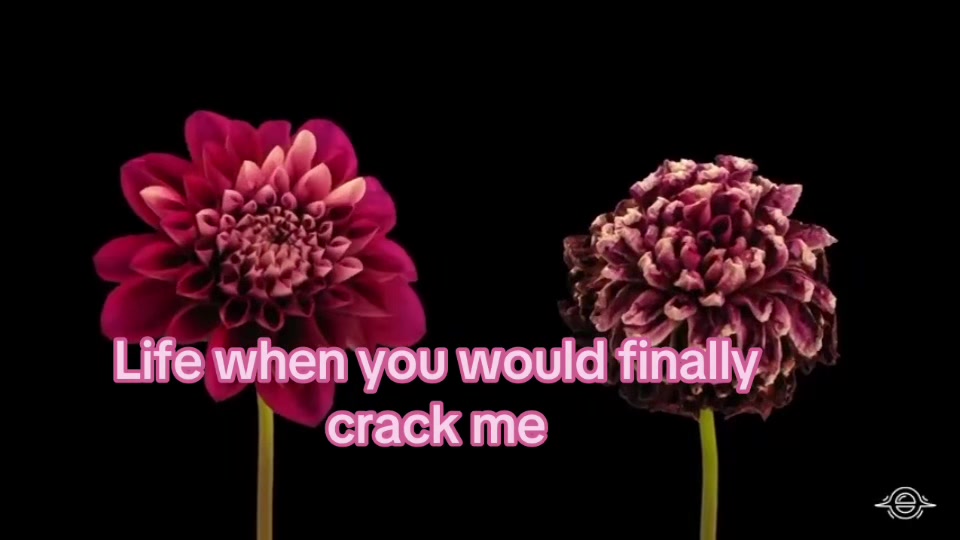 @xxxmrmagic