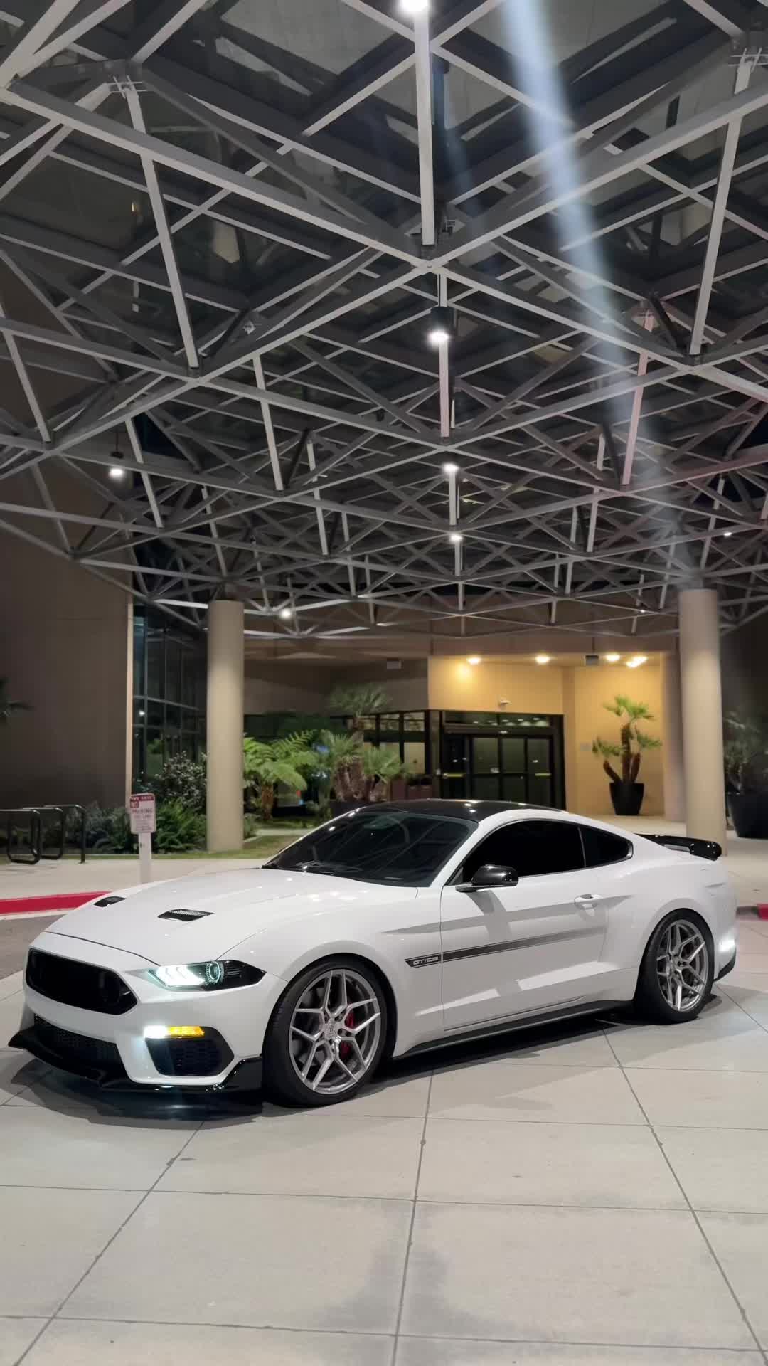 @Jalen.cs