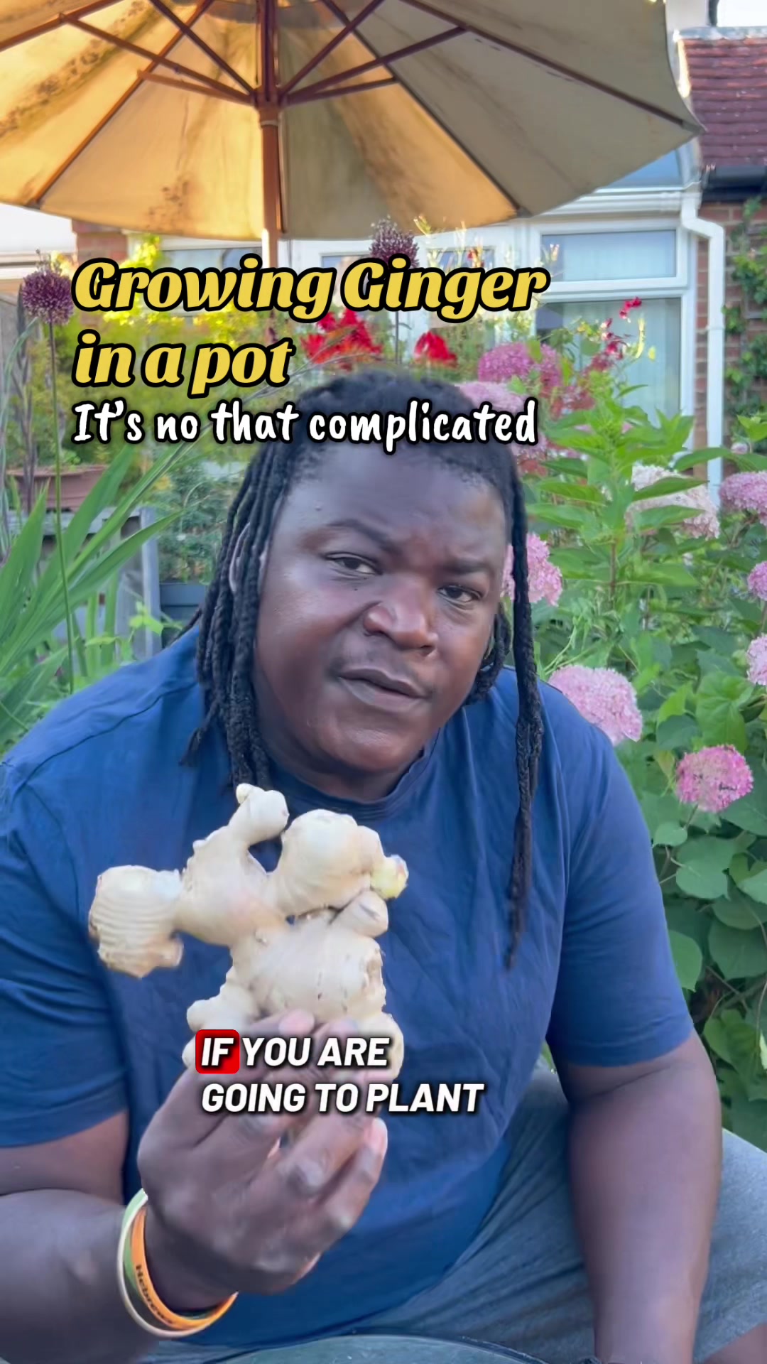 @Izwe