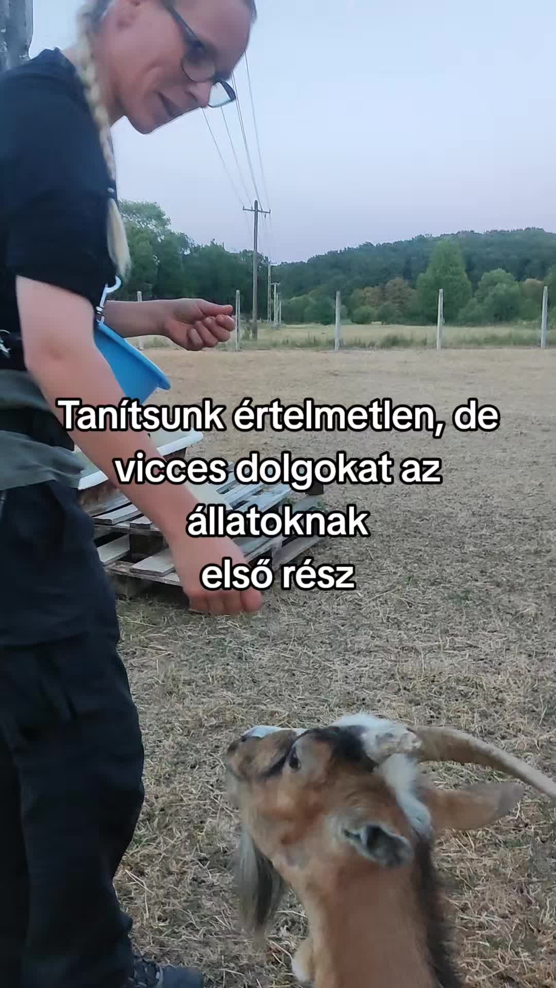 @Madness on paws