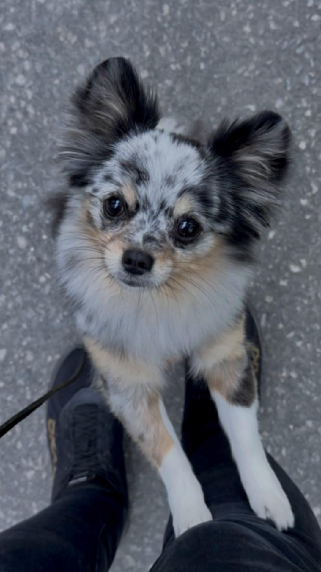 @Mia🐾🇳🇴