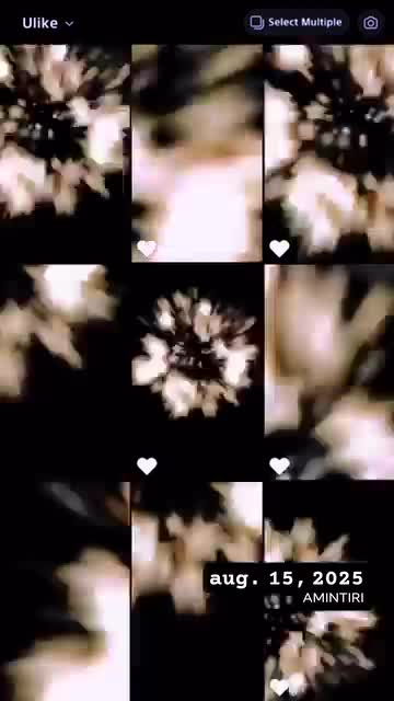 @DanaRachitan