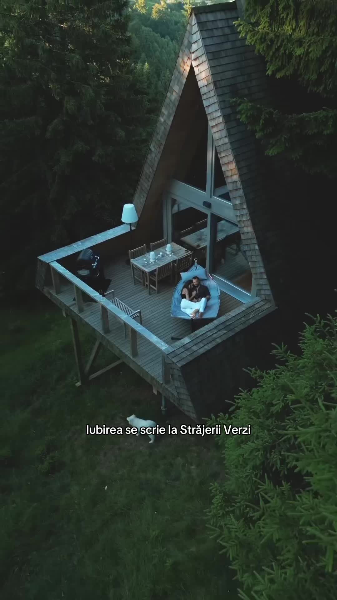@Strajerii Verzi