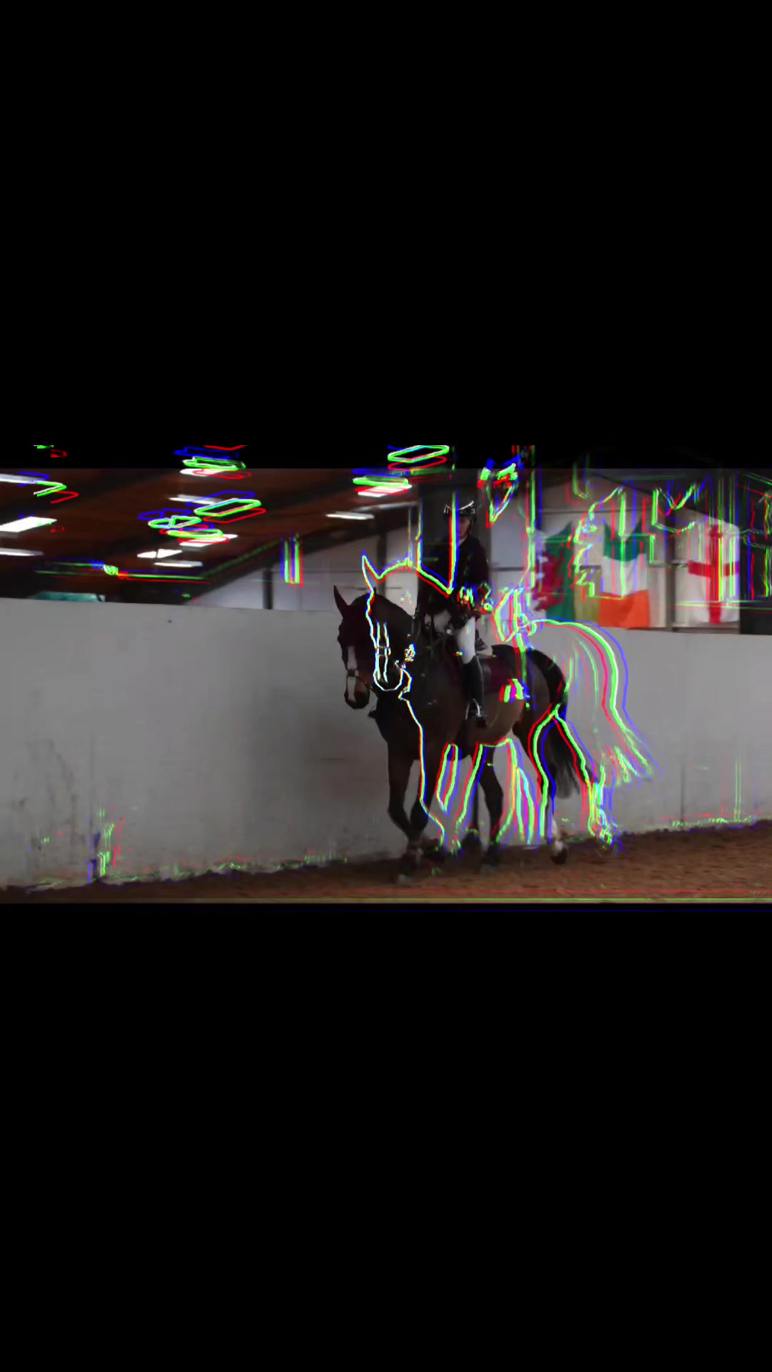 @🐴♦️Harlow&Ruby♦️🐴
