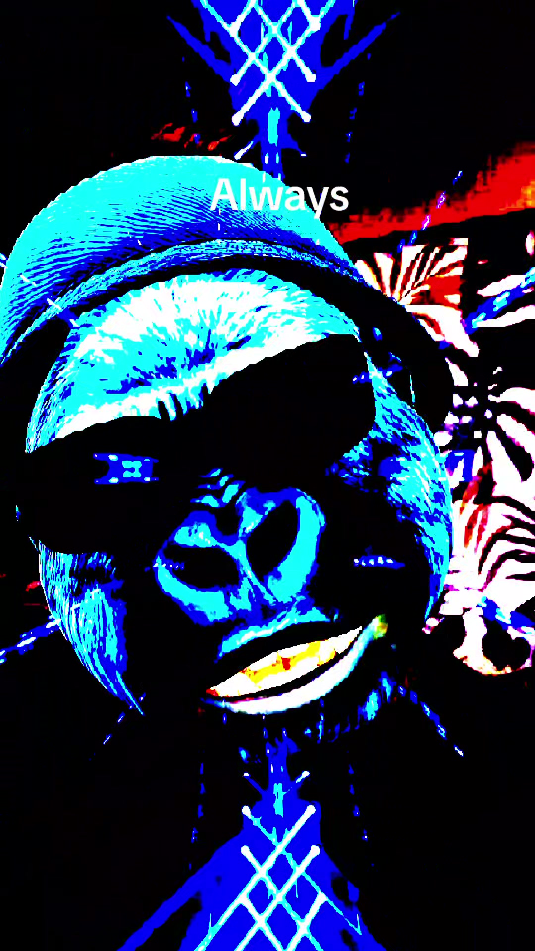 @🐆pwlfc79