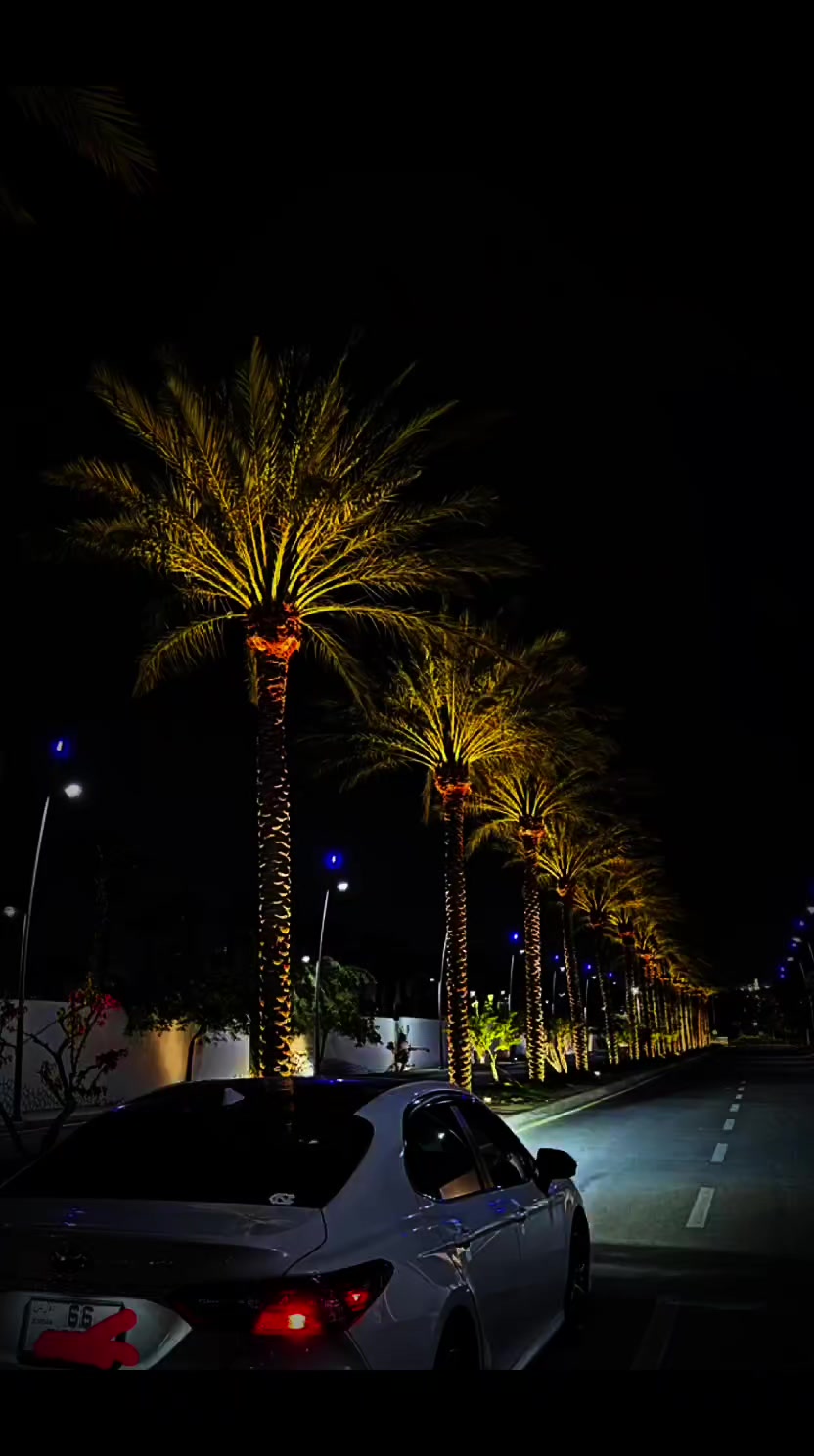 @رفيعة الذوووق