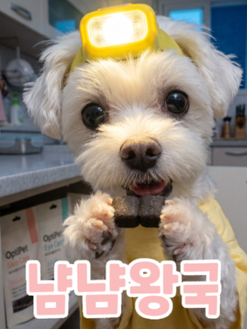 @냠냠왕국