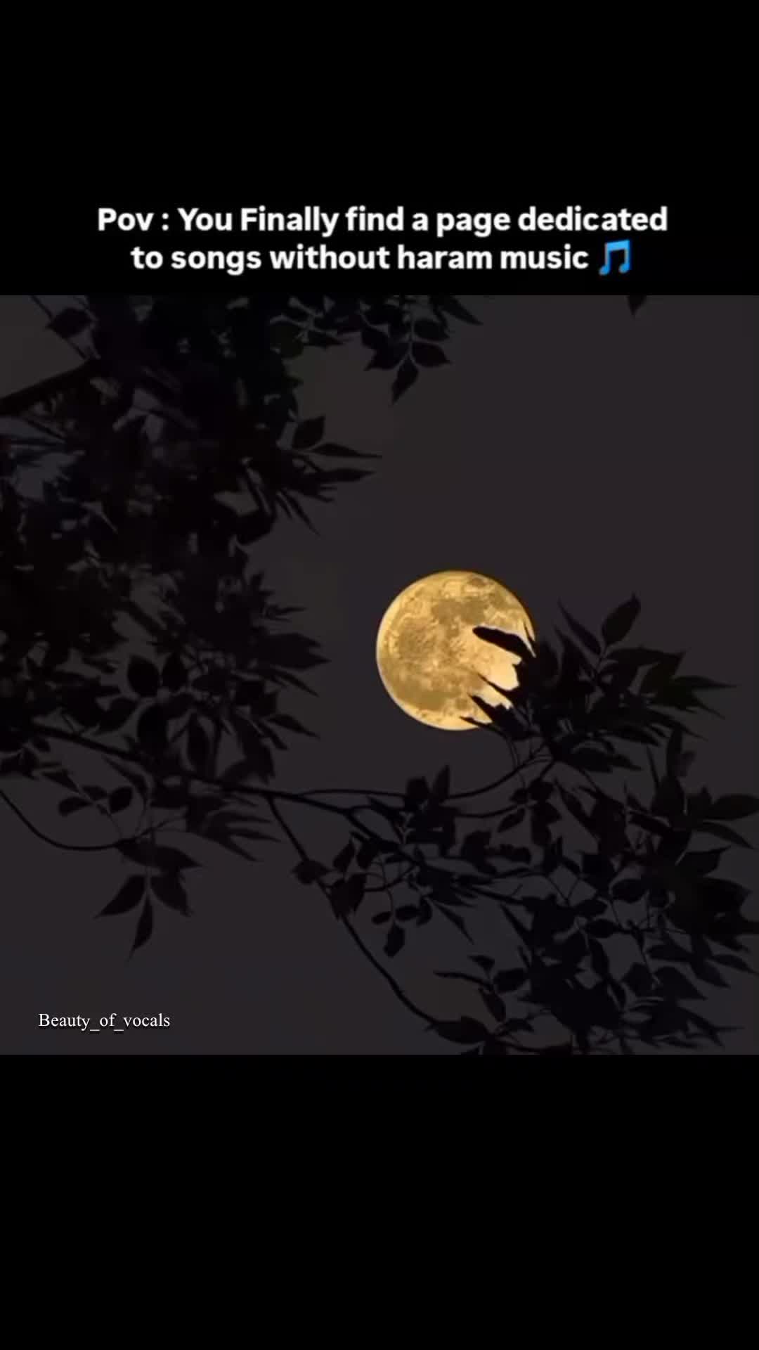 @𝐁𝐞𝐚𝐮𝐭𝐲_𝐨𝐟_𝐕𝐨𝐜𝐚𝐥𝐬