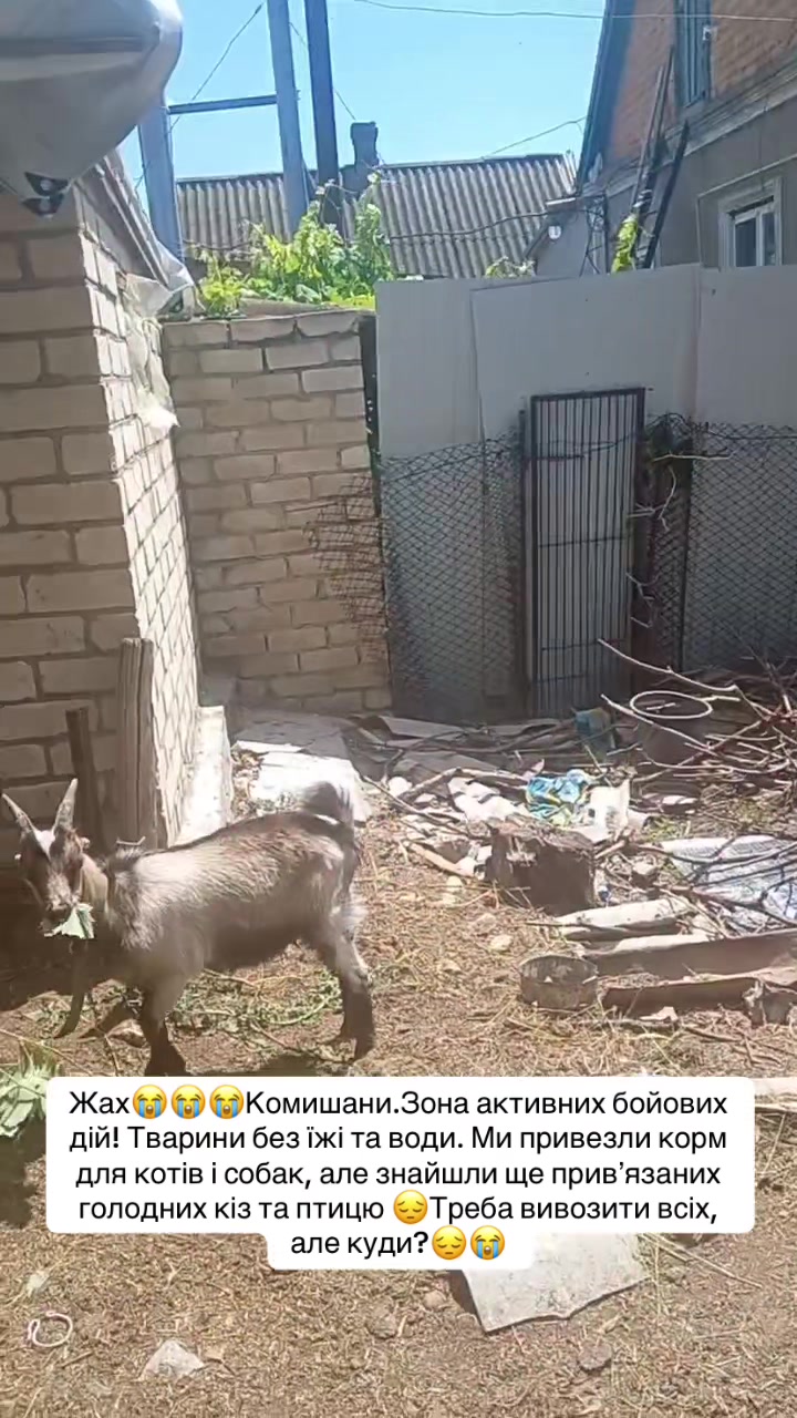 @ukolovanastyusha7777