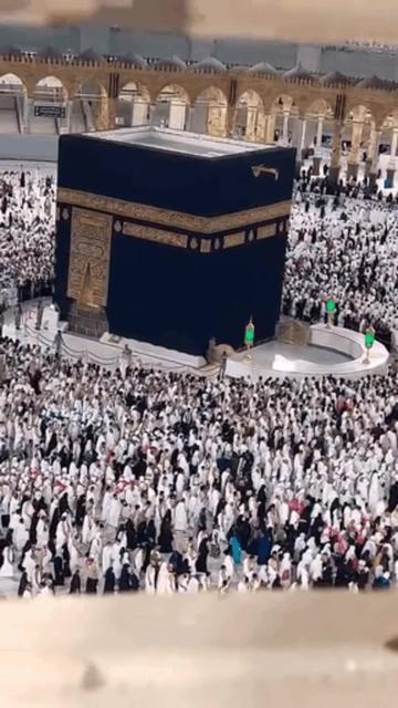 @🕊زارا🕊