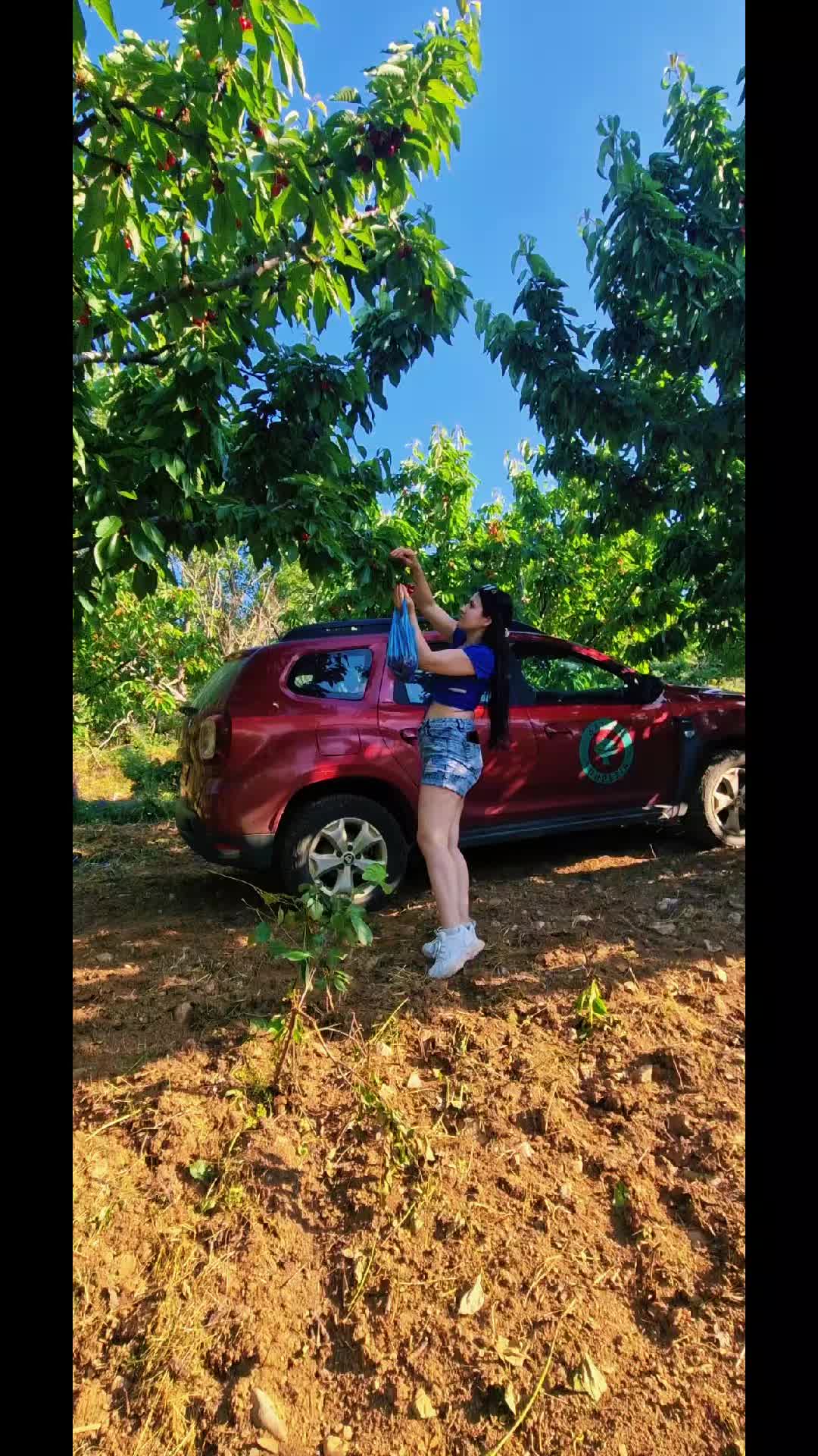 @Gena Qershia36🍒🍒