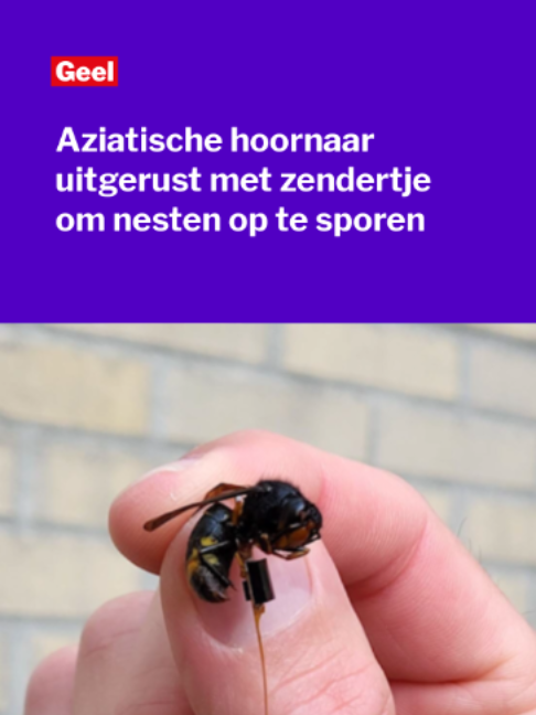 @Gazet van Antwerpen