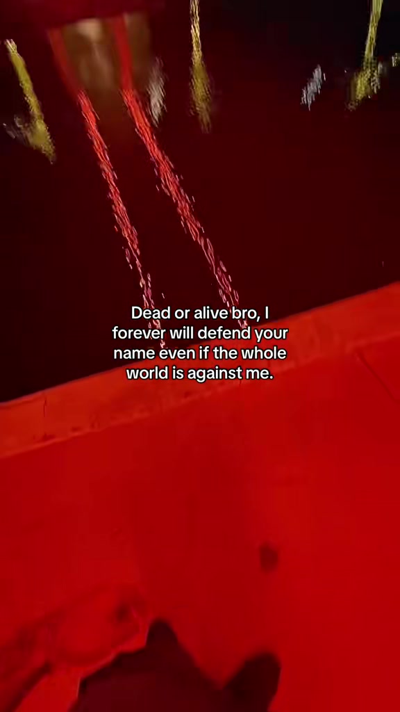 @6vlex🦉