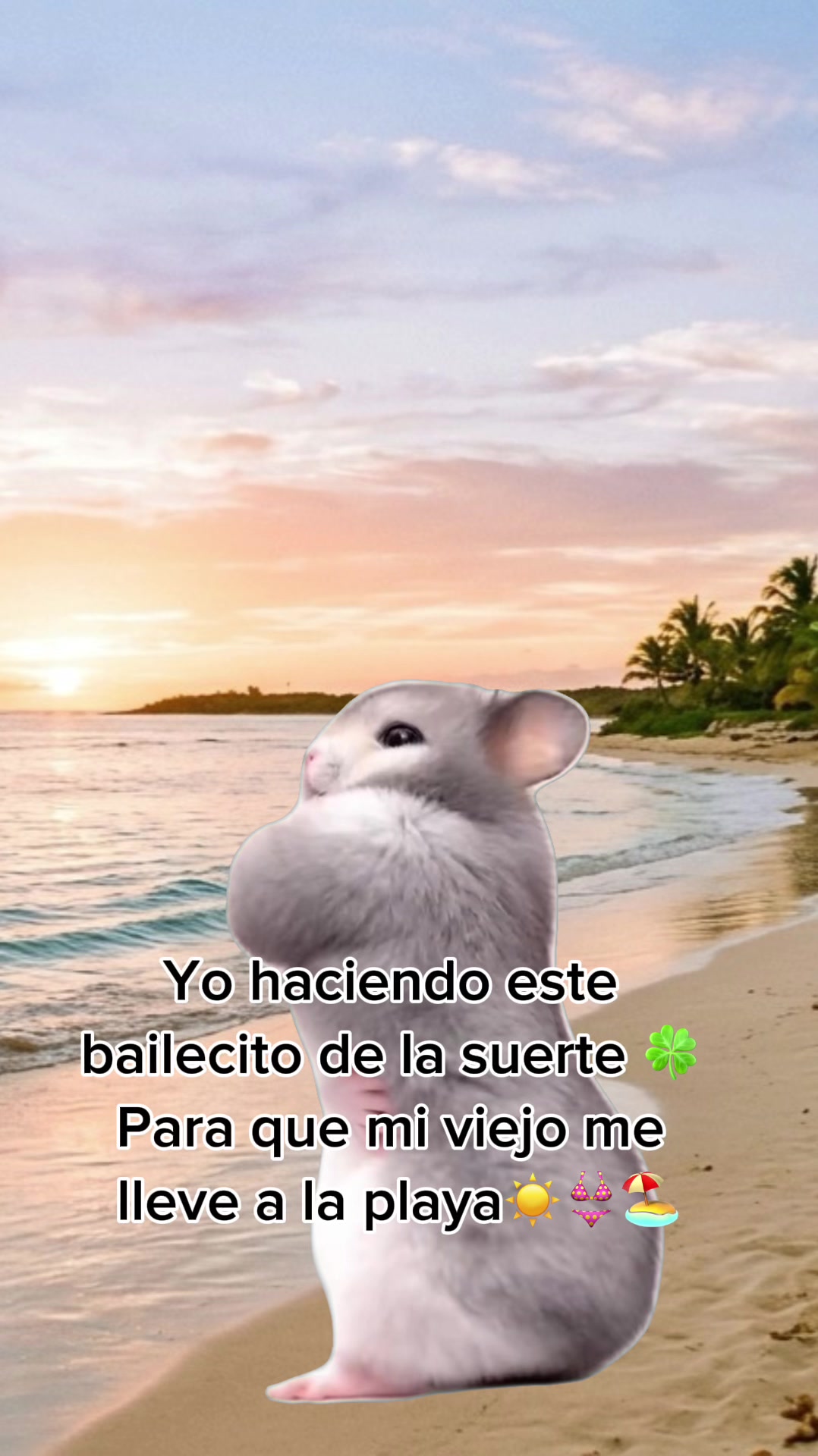 @Vianey Rodr&iacute;guez