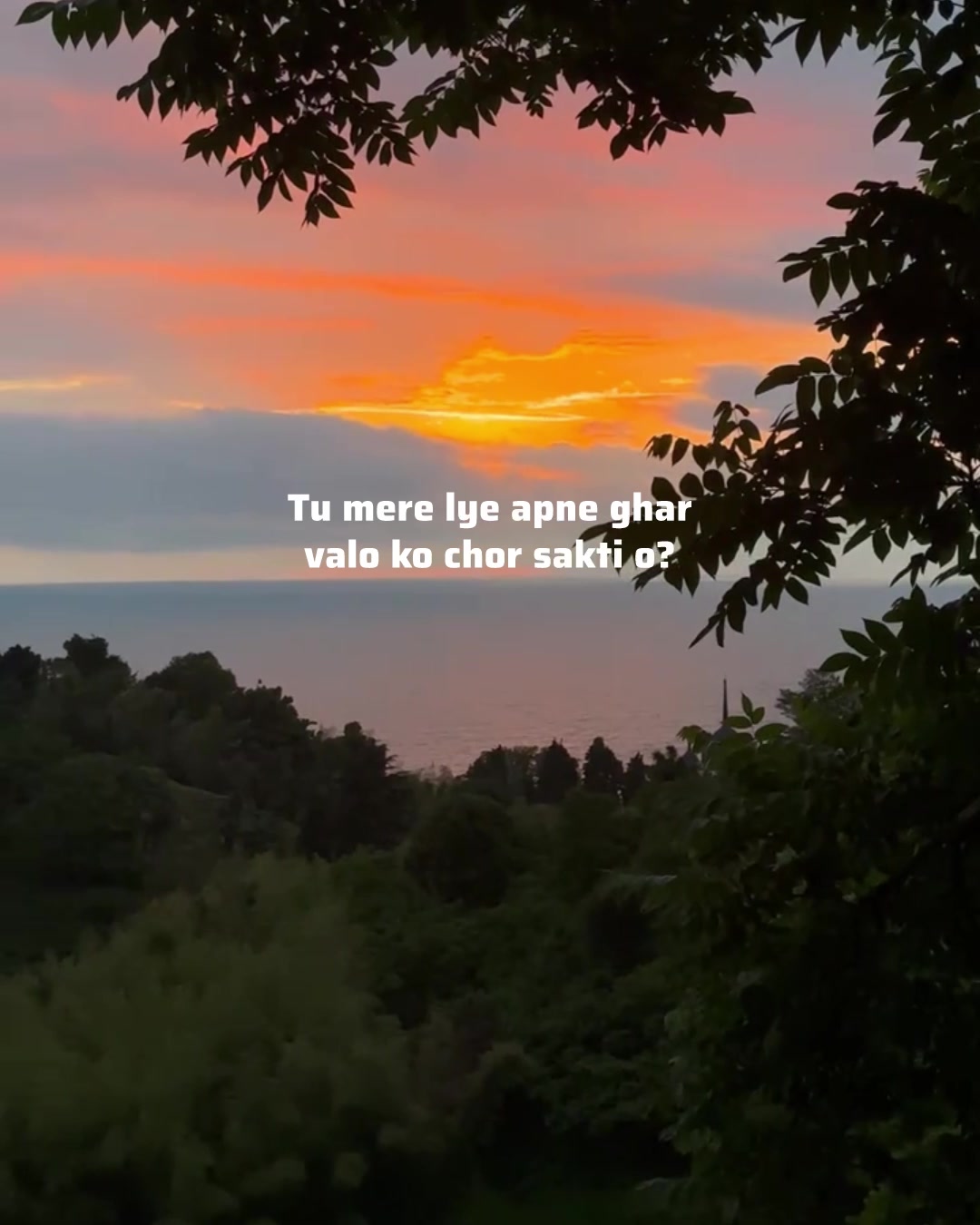 @ʟᴏꜰɪ ᴅʀᴇᴀᴍꜱ