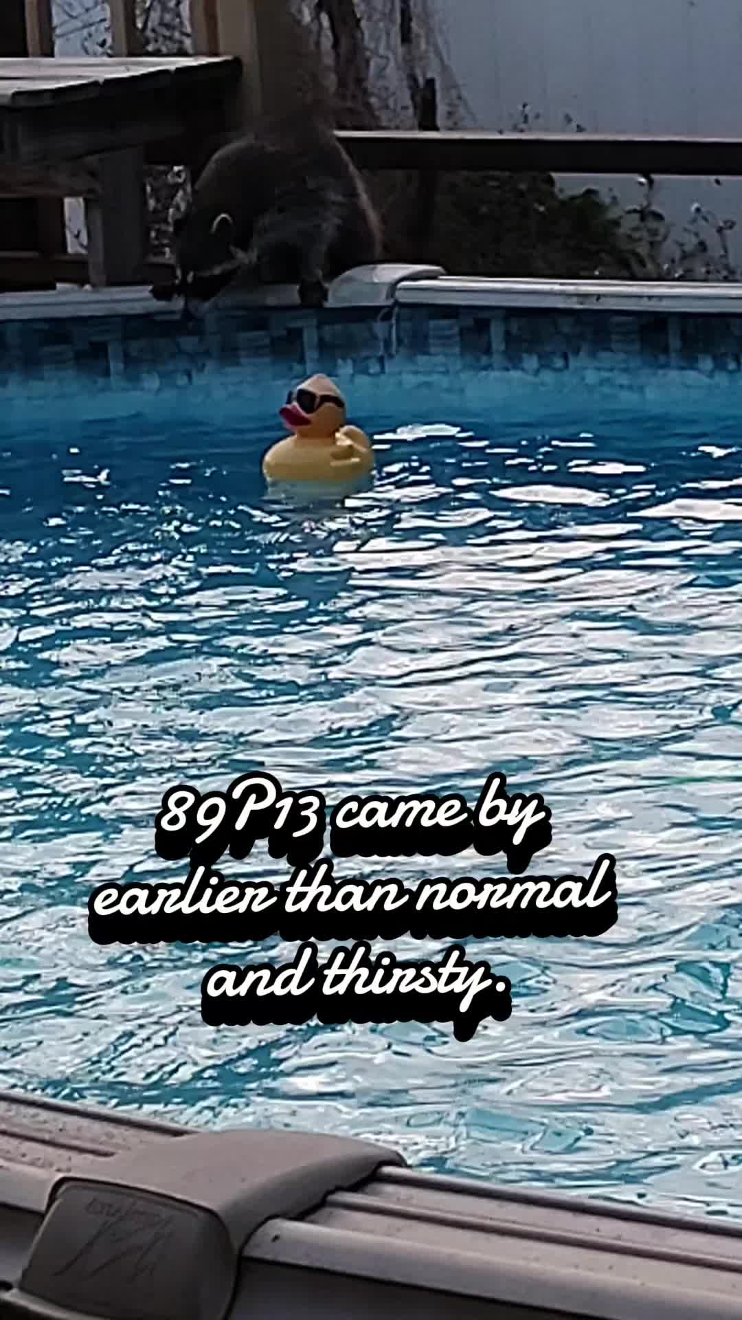 @Heather's Shitshow
