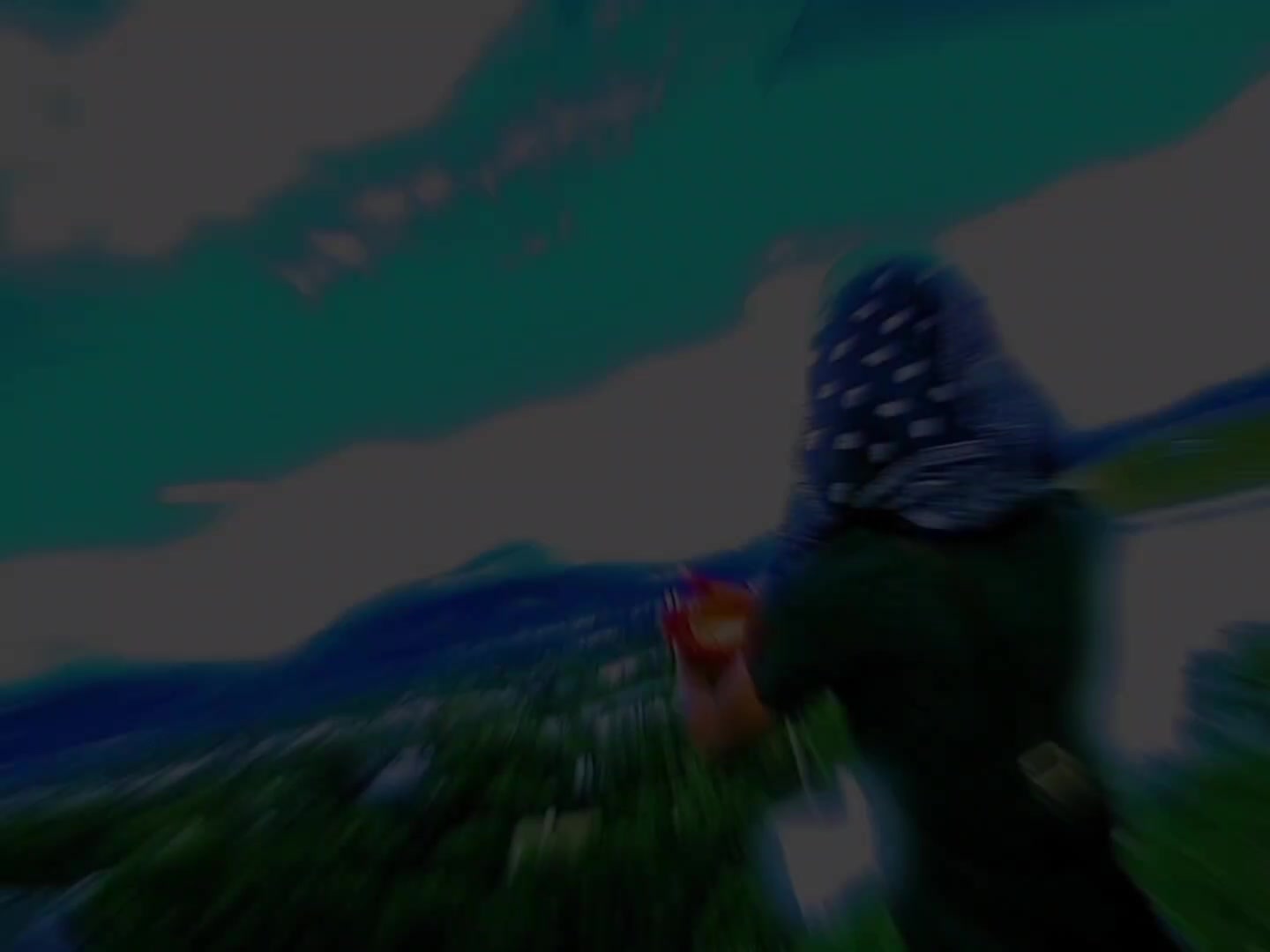 @THVG VNGXXL