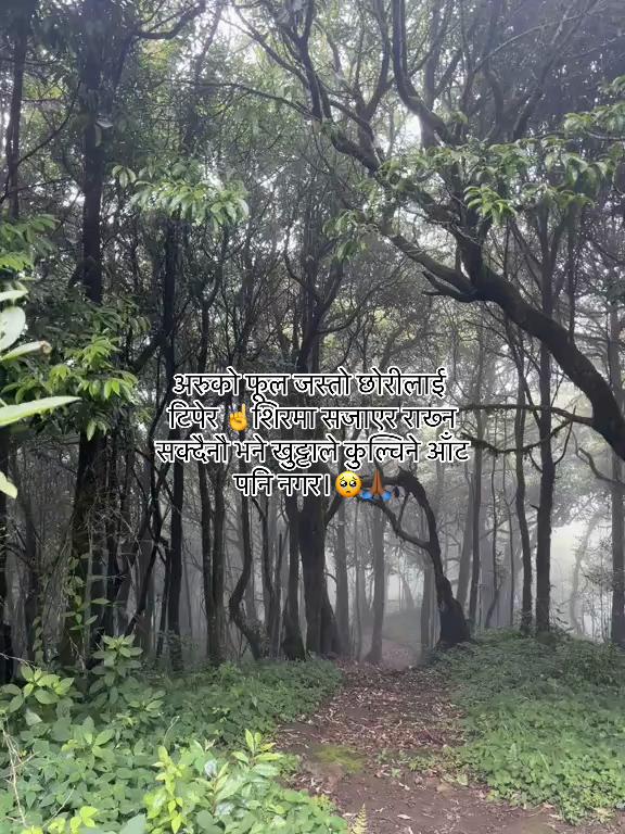 @मनछुनेलाईनहरू🥺