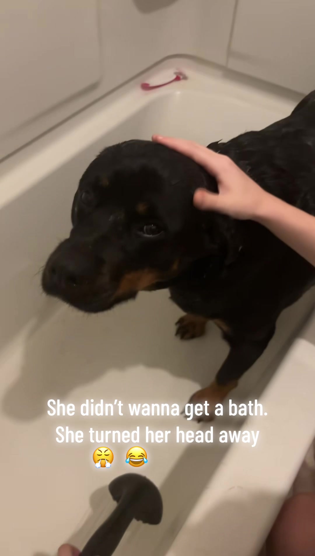 @Tori