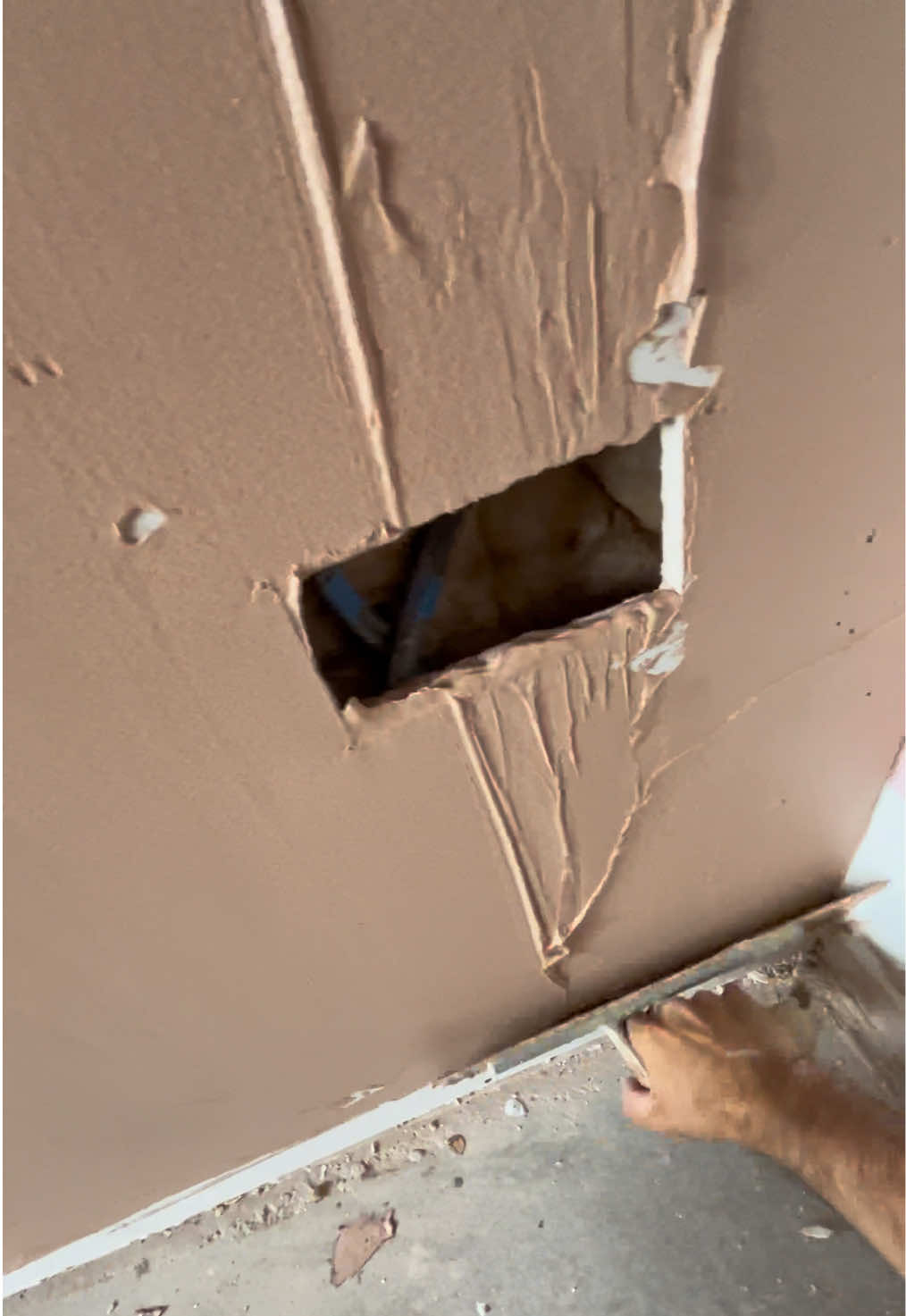 @Ryan Clarke Plastering