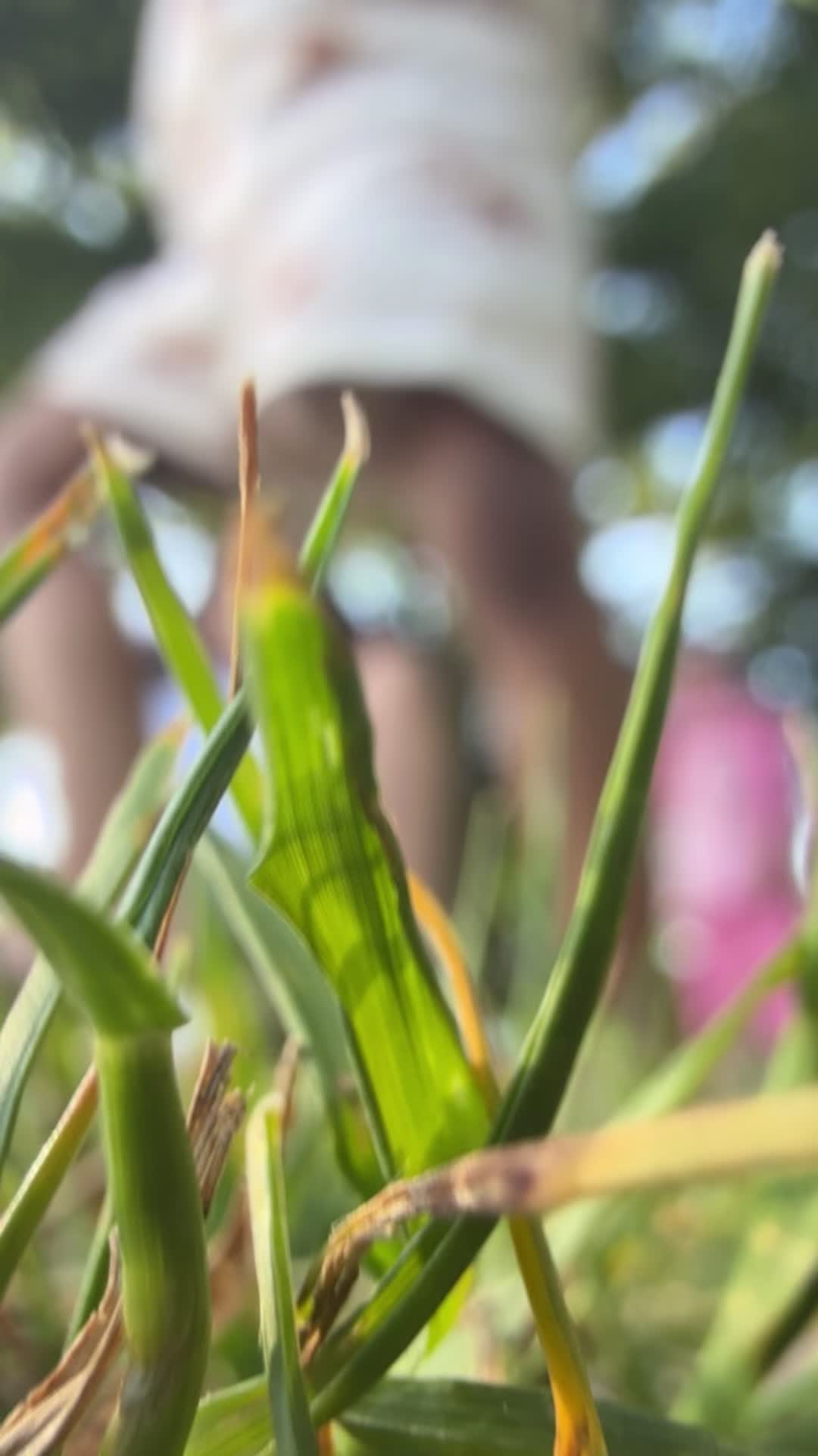 @SHILPAMOIDEEN