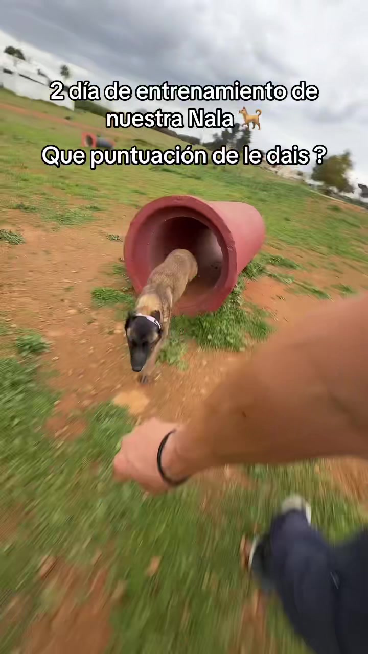 @Mi Mariela