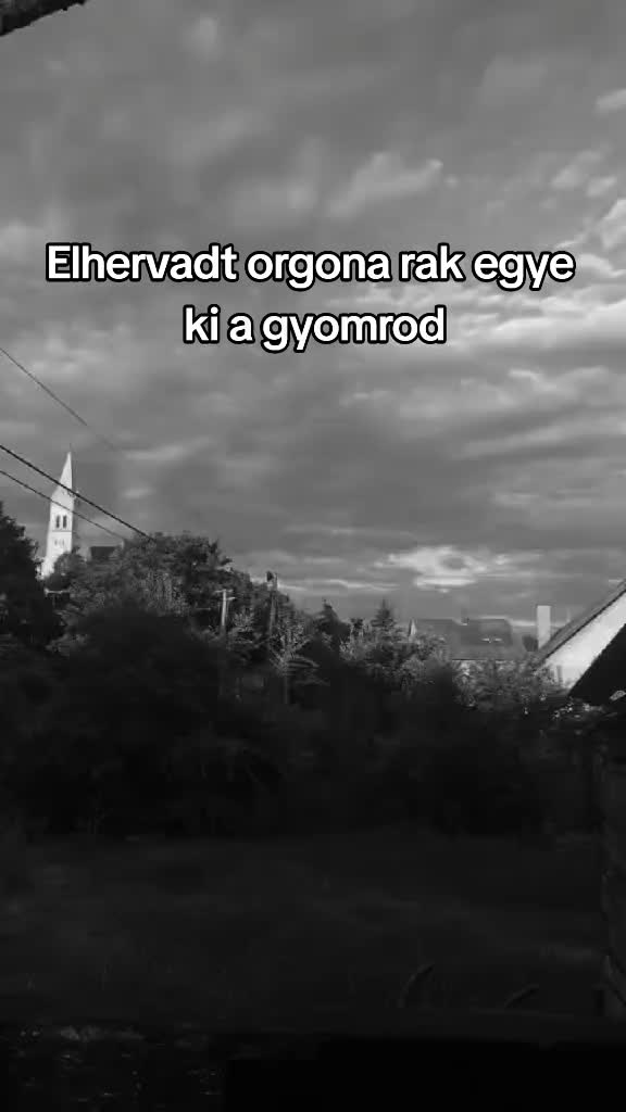 @⚜️_𝒜𝓂𝓈𝓏𝓎_⚜️