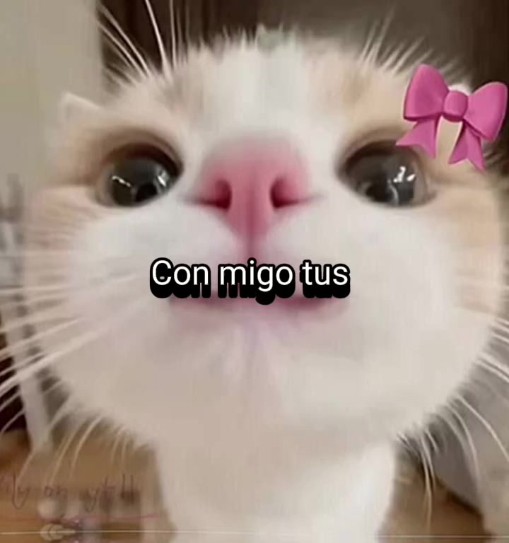 @Lourdes Garcia