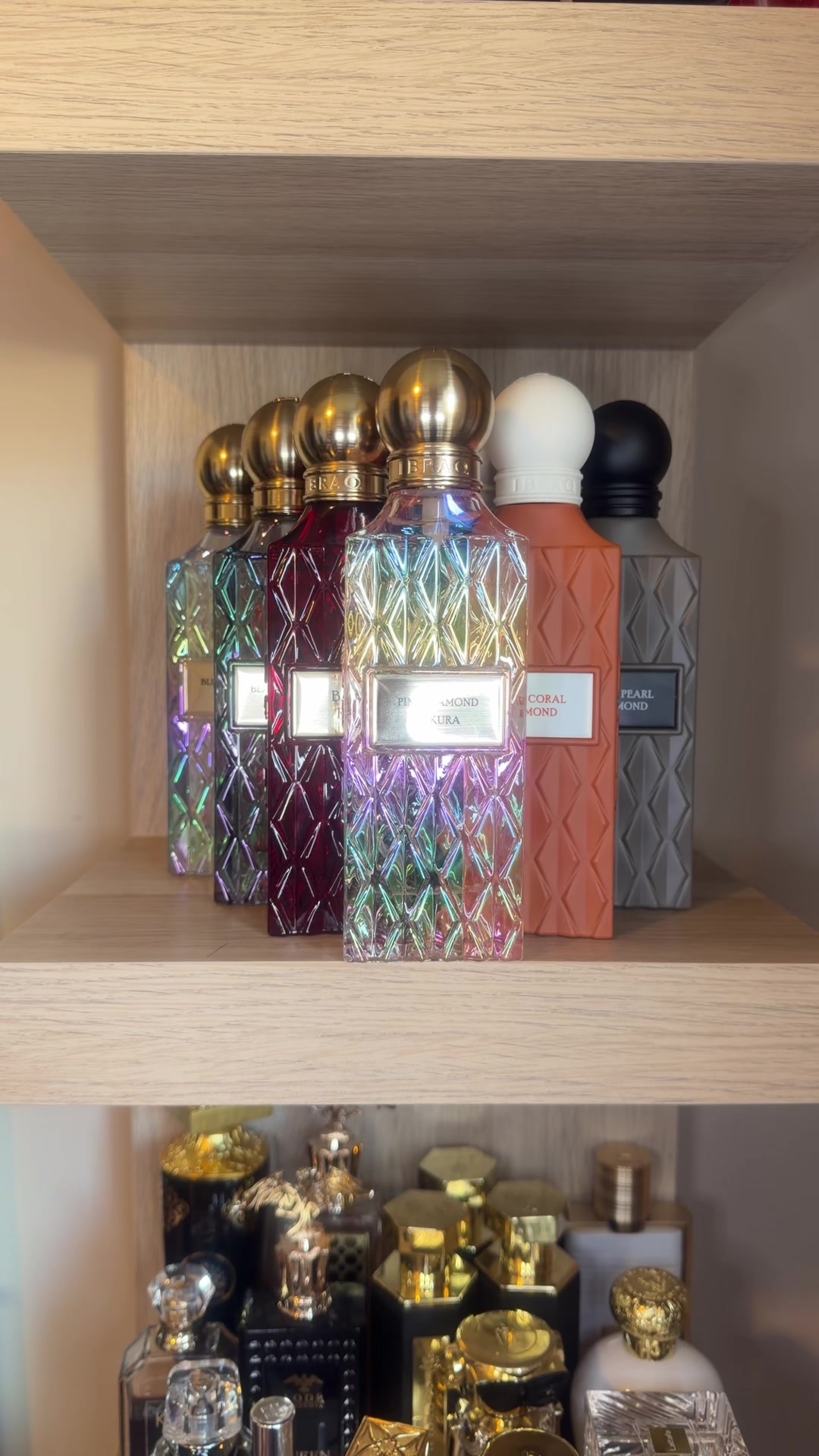 @أريبا علیشا