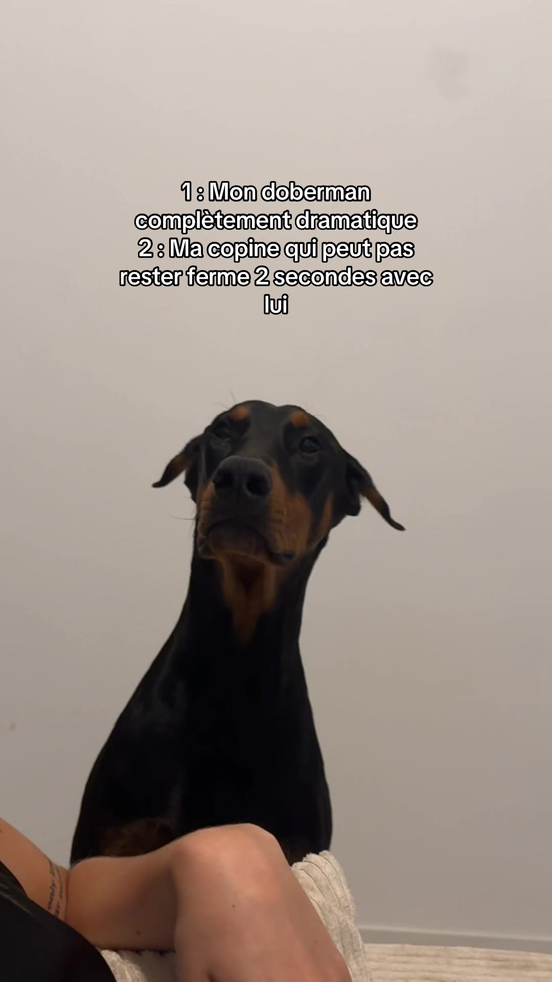 @Ar&egrave;s 🐶