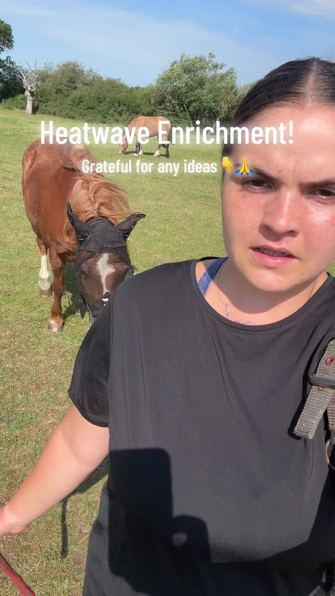 @Charlotte.Equestrian