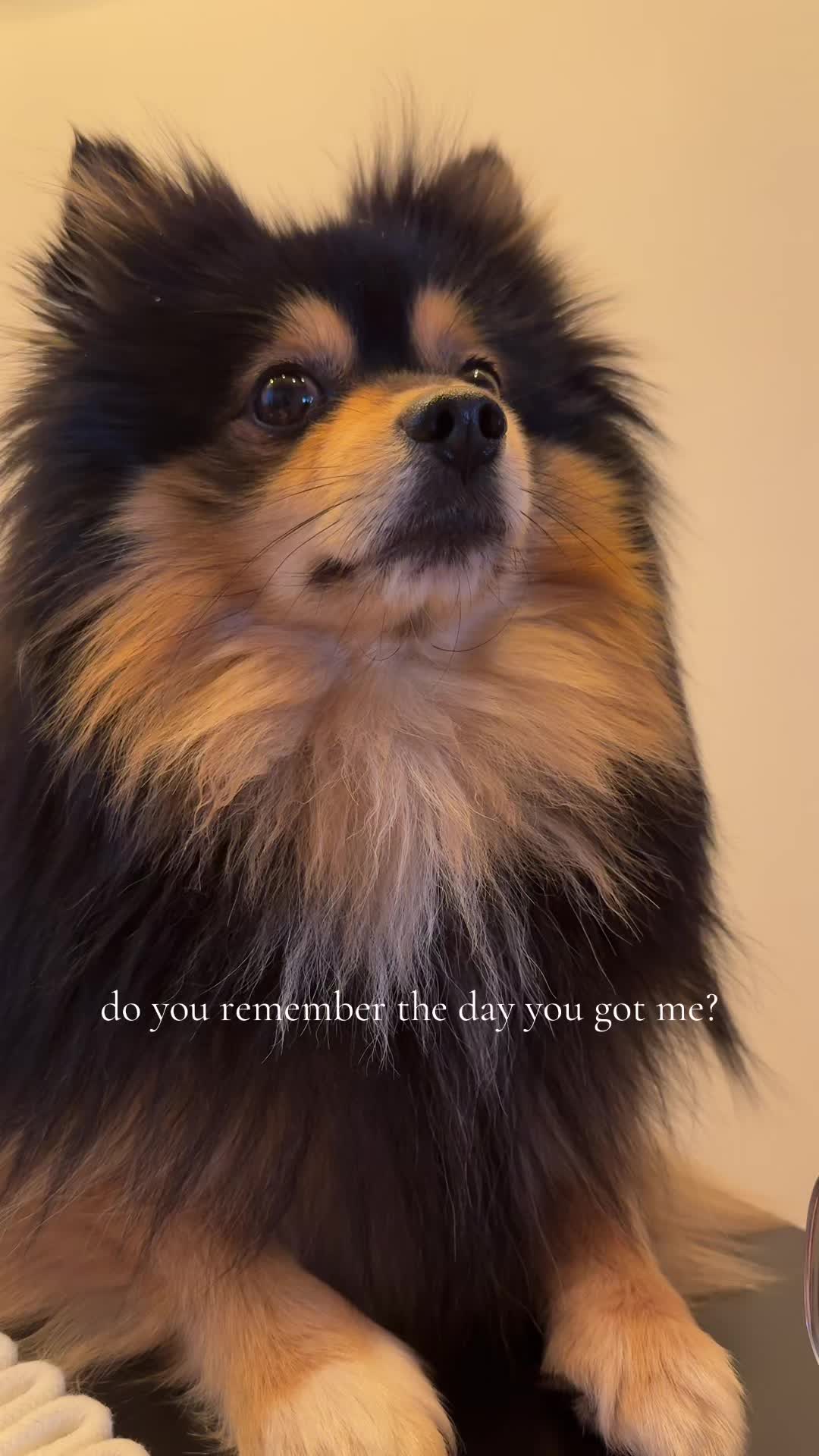 @eli_moravec