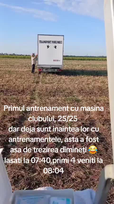 @Floryn Ionescu