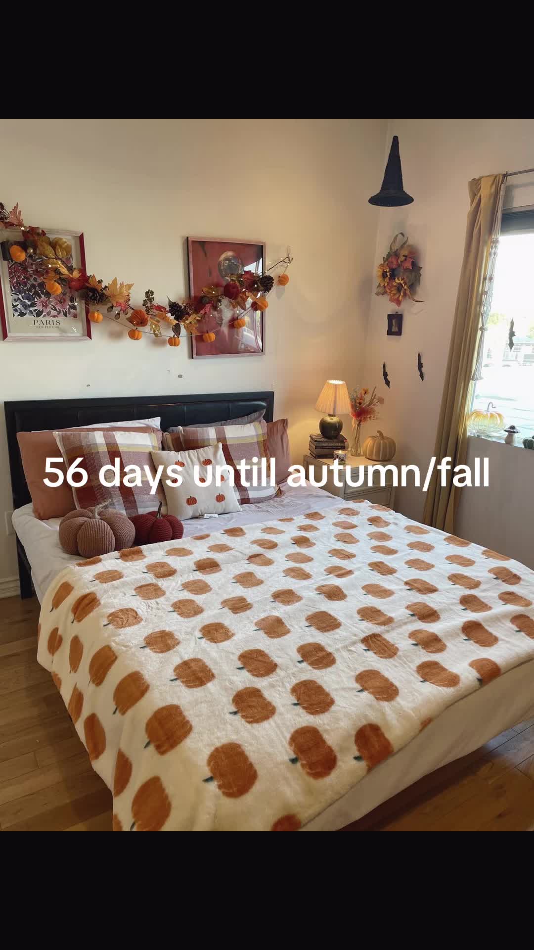 @_katiexlee_