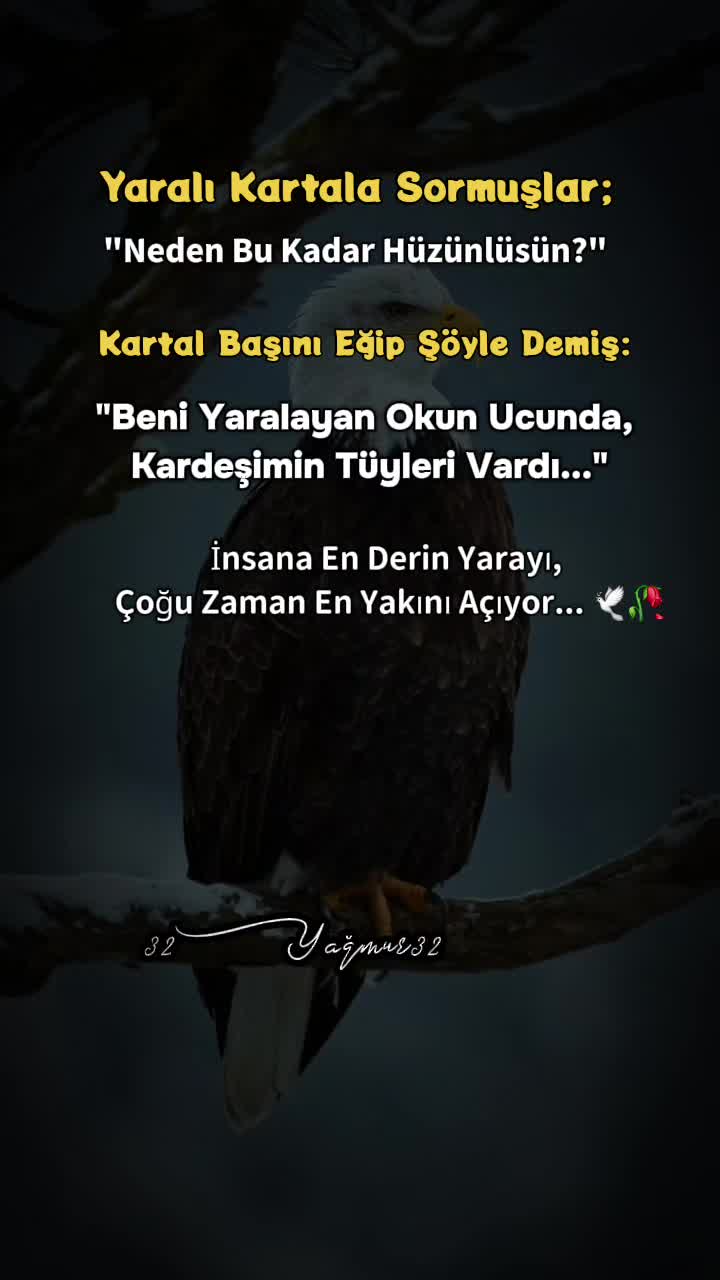 @𝗬𝗮ğ𝗺𝘂𝗿
