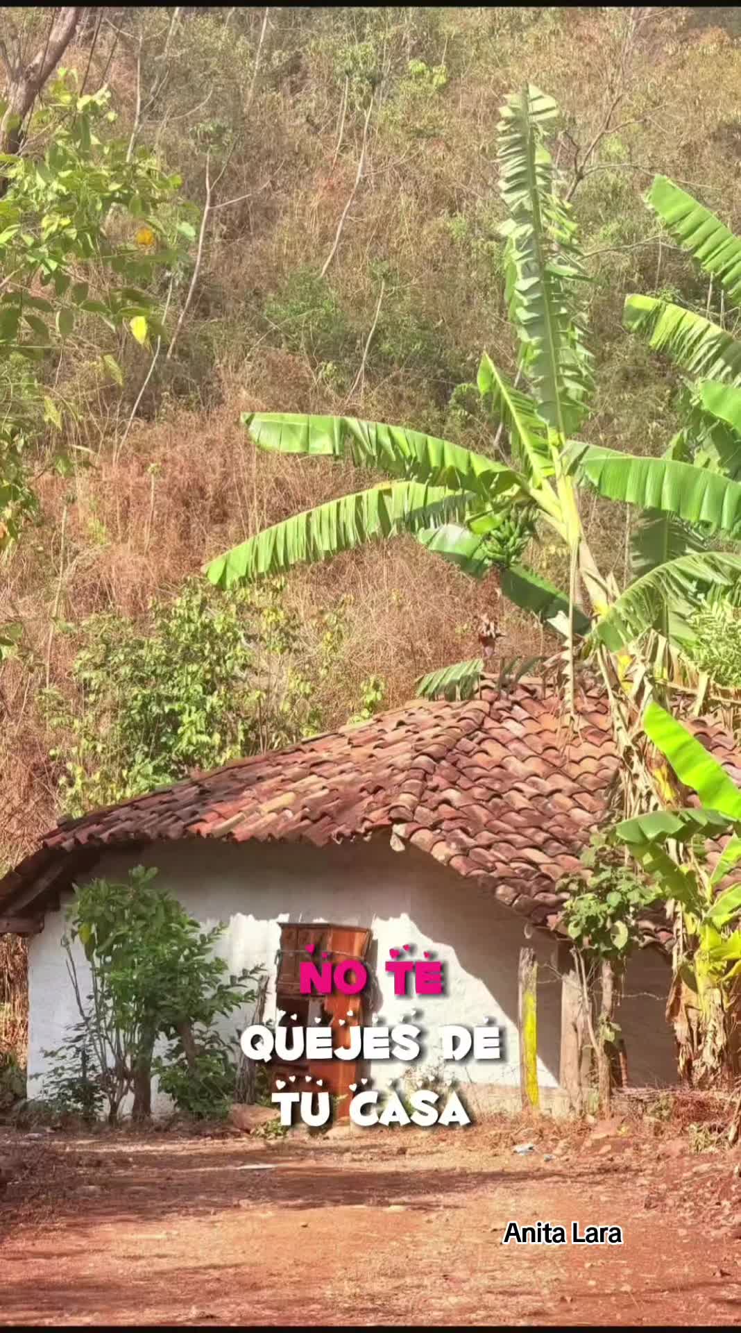 @Anita Lara