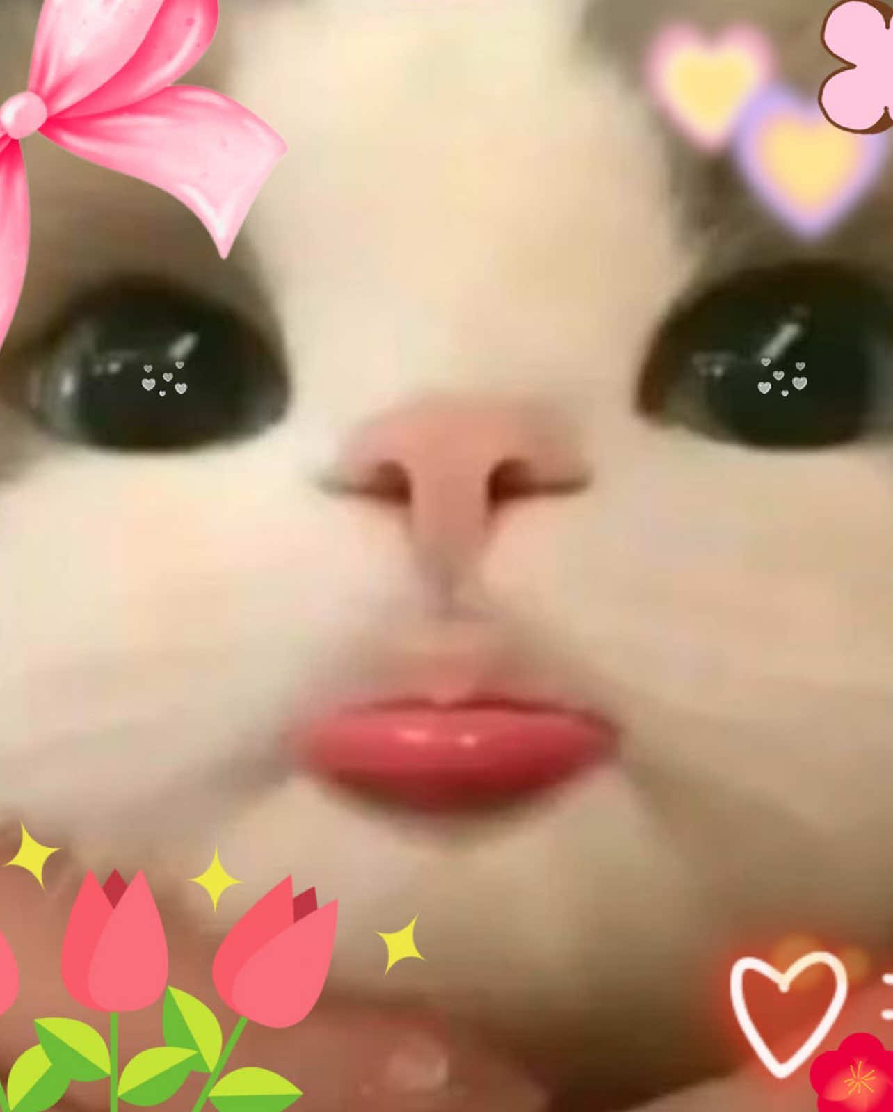 @Madara