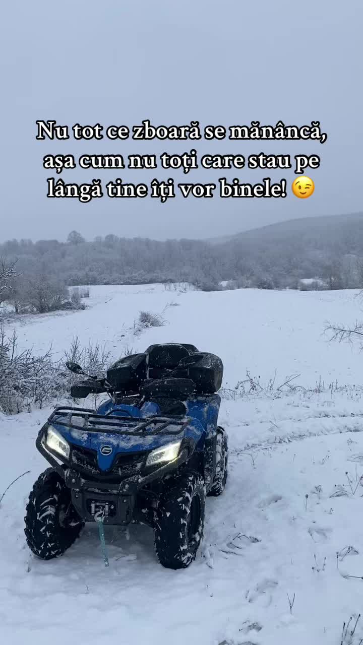 @Alexandru Vochitoiu