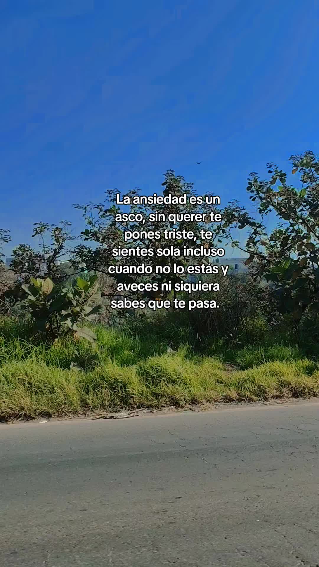 @Solecito