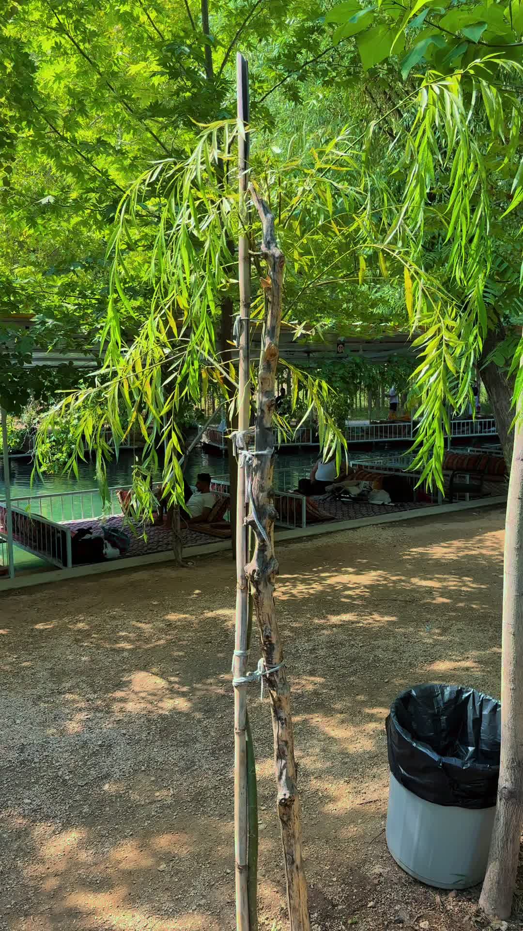 @botanrestorant