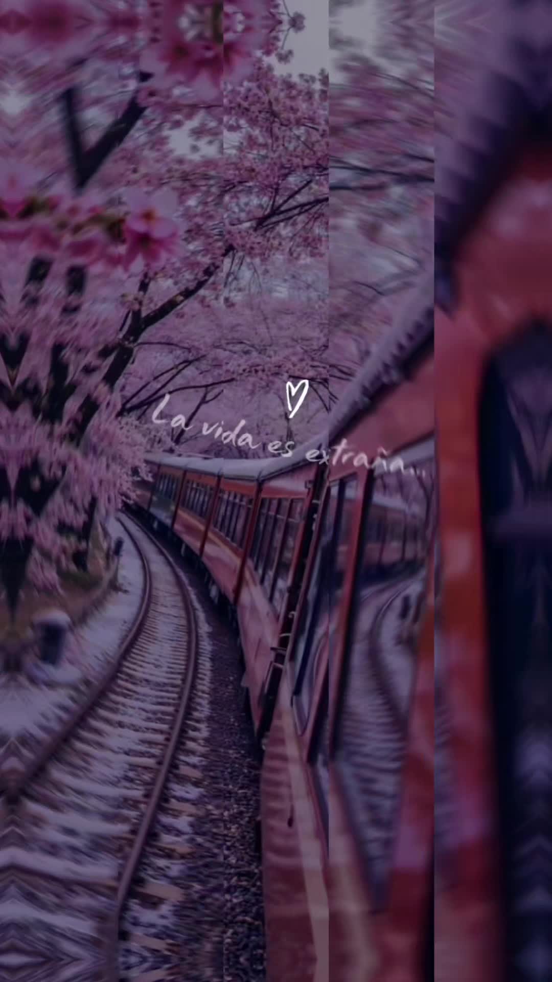 @@𝖌𝖗𝖎𝖘𝖘𝖊𝖑