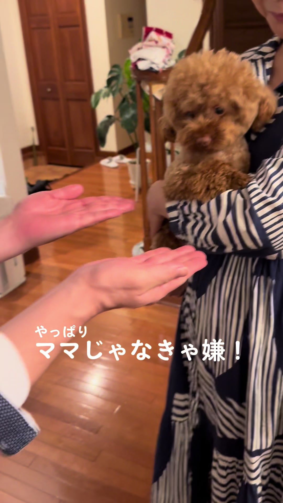 @るるもも