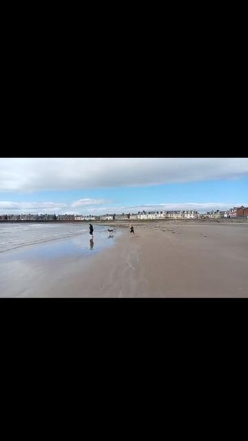 @ScottishLaura🏴