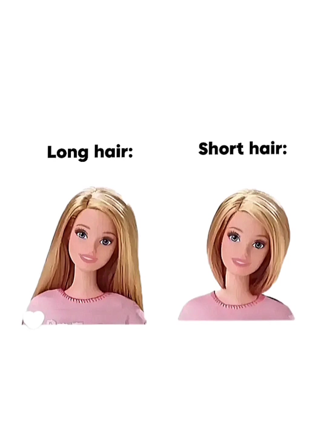 @tara rozenberg