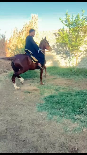 @ابو منازع🖤😎