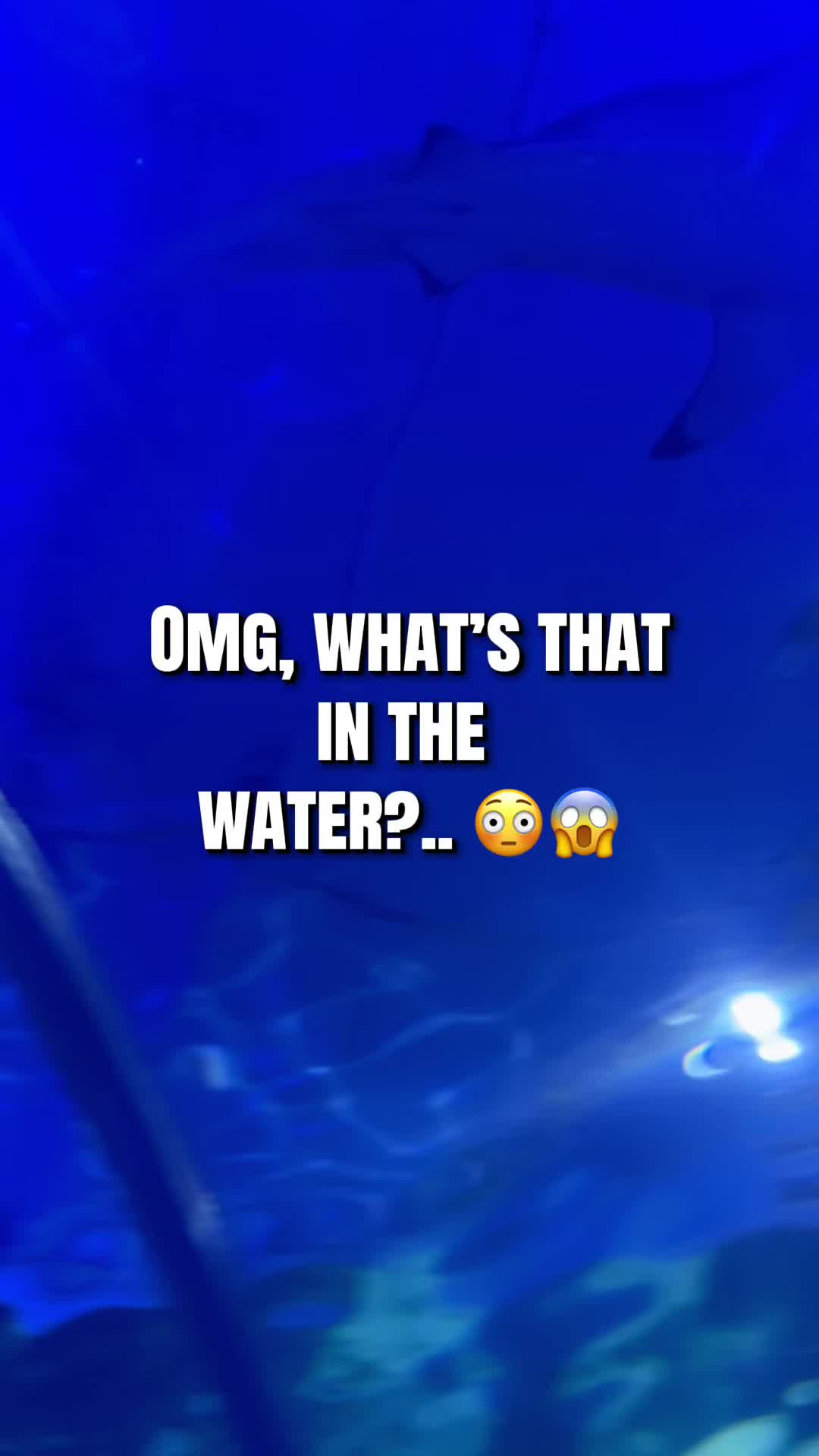 @Malaika⁷✨ ⟭⟬♬