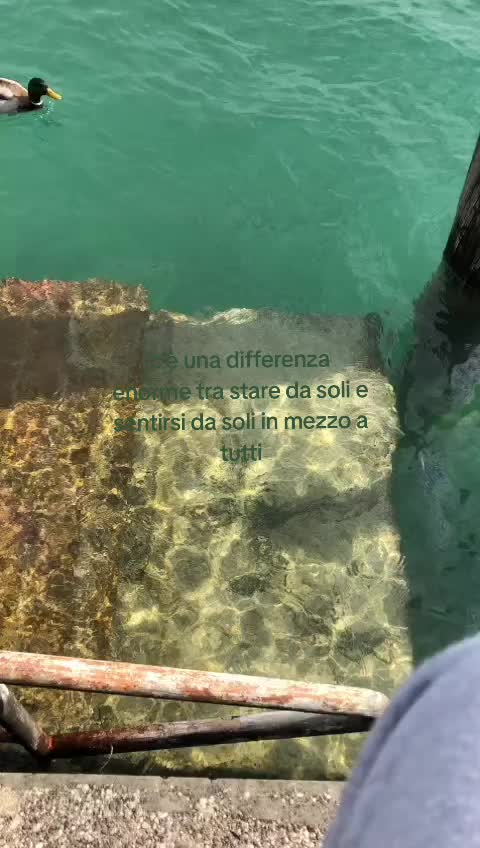 @sisonoio.