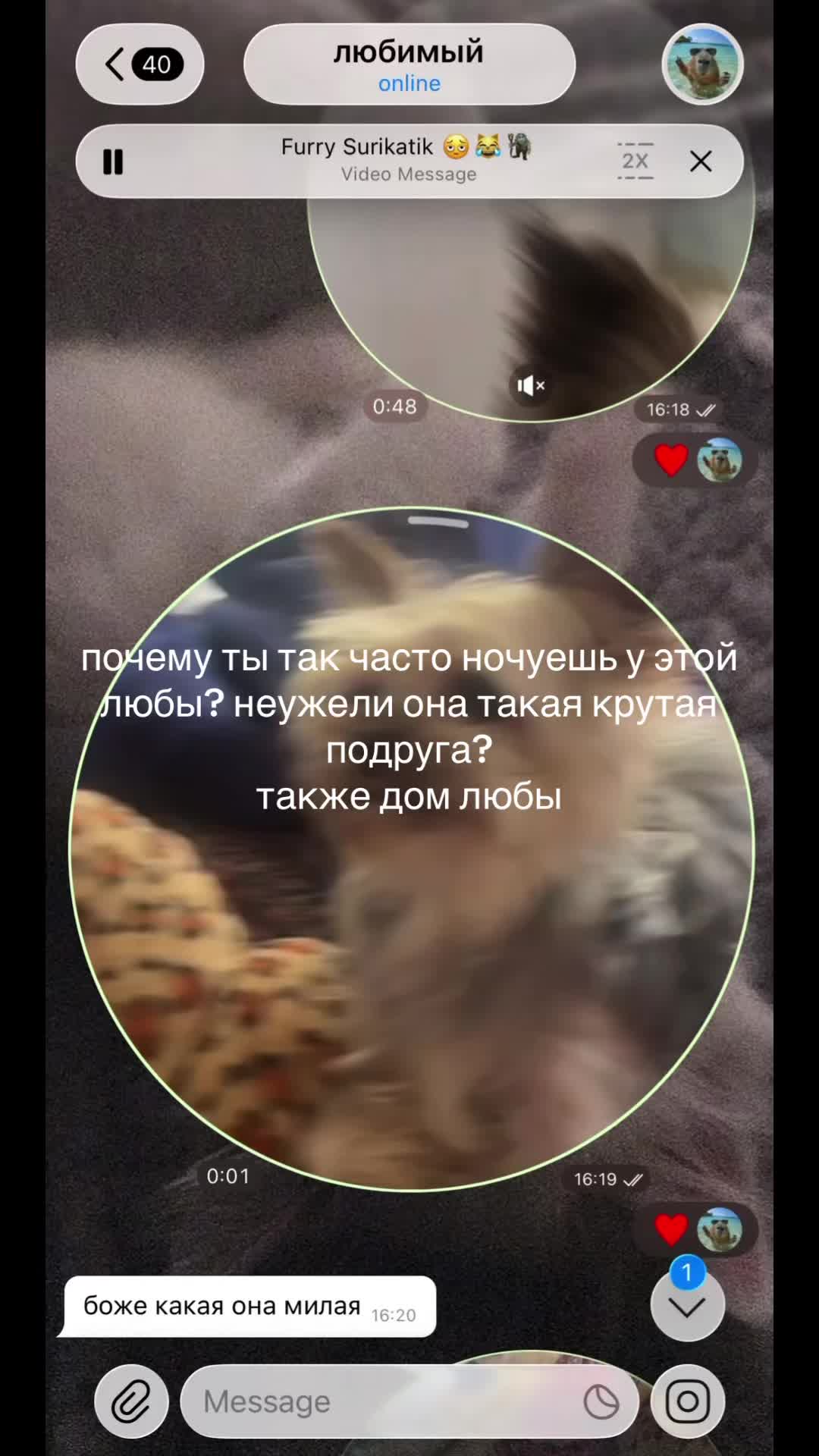 @sunyxzzi